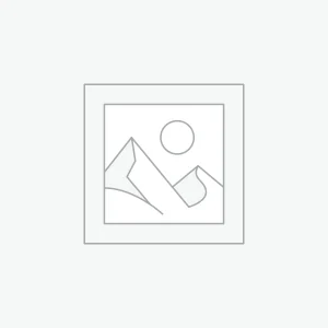 플레이스홀더